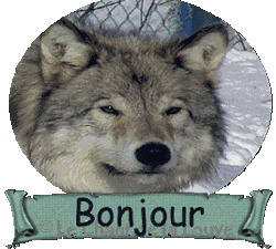 Bonjour tout le monde